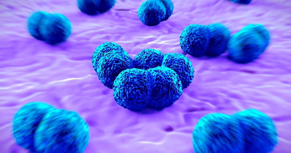 Meningococcal Infection: Recognizing Early Symptoms and Risks